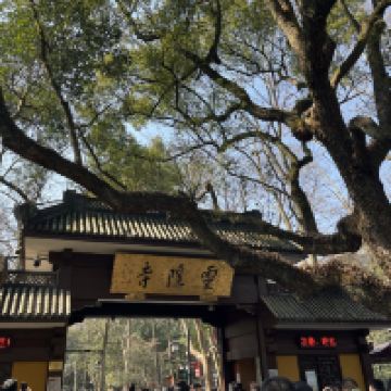 評論圖片 8