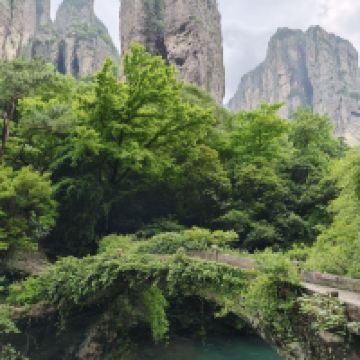 評論圖片 2