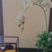 評論圖片 7