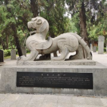 評論圖片 5