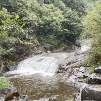 評論圖片 2