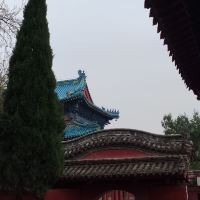 評論圖片 6