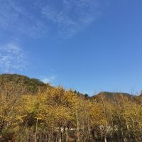 評論圖片 5