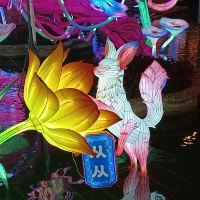 評論圖片 7