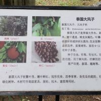 評論圖片 6