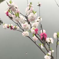 評論圖片 7