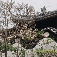 評論圖片 1