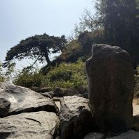 評論圖片 7
