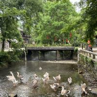 評論圖片 3