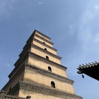 評論圖片 4