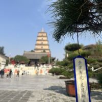 評論圖片 1