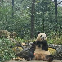 評論圖片 7