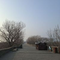 評論圖片 2