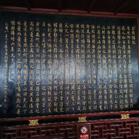 評論圖片 5