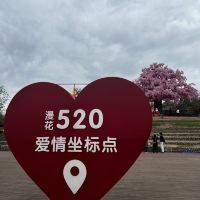 評論圖片 6