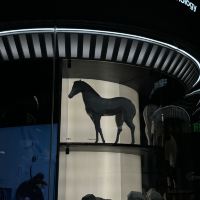 評論圖片 4