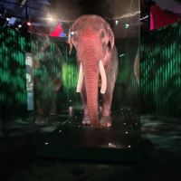 評論圖片 9