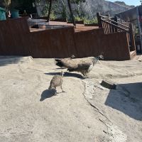 評論圖片 7