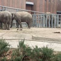 評論圖片 3