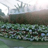 評論圖片 3