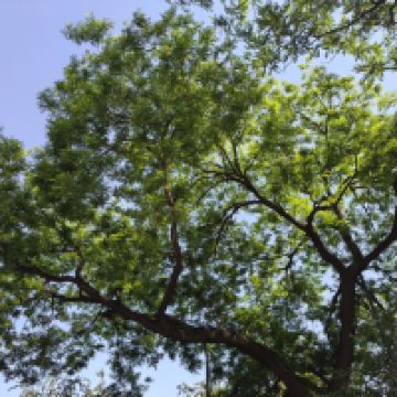 評論圖片 2