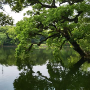 評論圖片 2