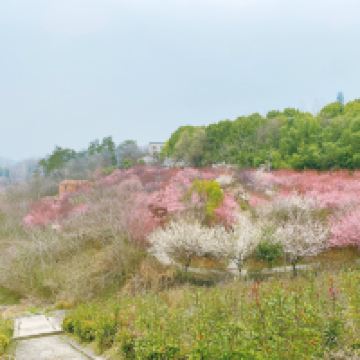評論圖片 9