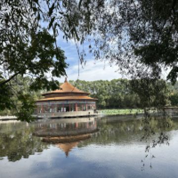評論圖片 1