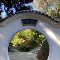 評論圖片 5