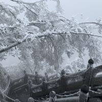 評論圖片 7