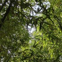 評論圖片 1