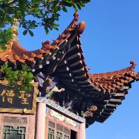 評論圖片 5