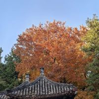 評論圖片 5