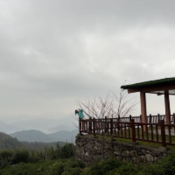 評論圖片 1