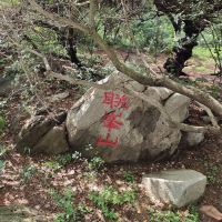 評論圖片 8