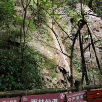 評論圖片 2