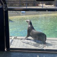 評論圖片 4