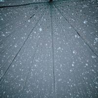 評論圖片 8