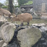 評論圖片 3