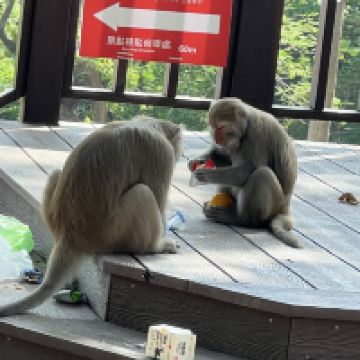 評論圖片 4