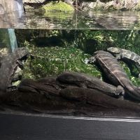 評論圖片 2