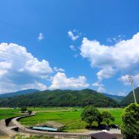 評論圖片 6