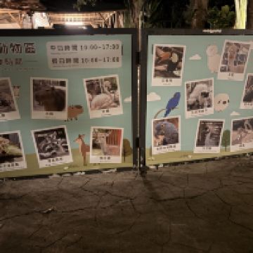 評論圖片 5