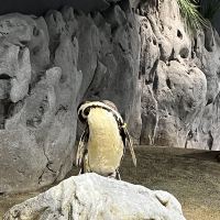 評論圖片 1