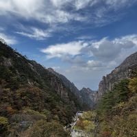 評論圖片 5