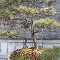 評論圖片 3