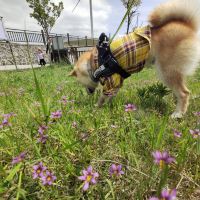 評論圖片 3