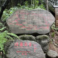評論圖片 3