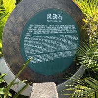評論圖片 6