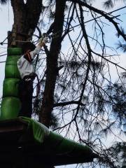 雲篆山叢林探險樂園